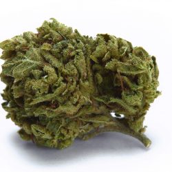 MK Ultra Strain