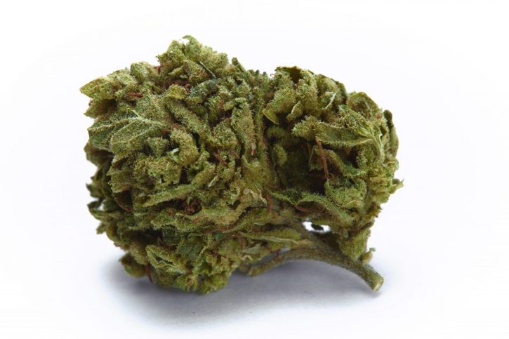 MK Ultra Strain