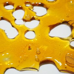 Buy Blueberry Kush Shatter