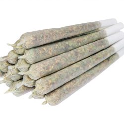 Buy Premium Joints Prerolls Online