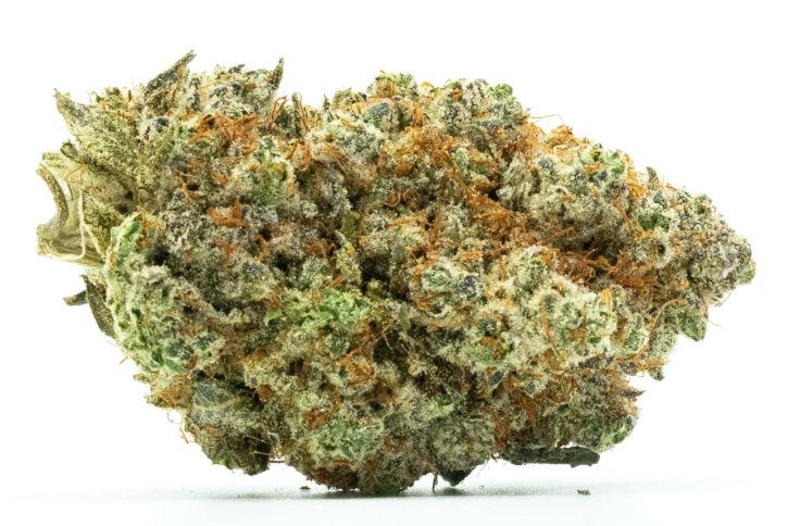 Buy Wet Dream Strain