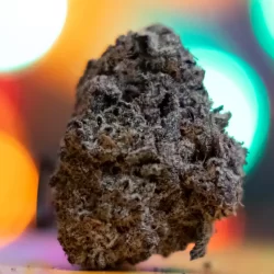Candy Runtz IE 420 Meds