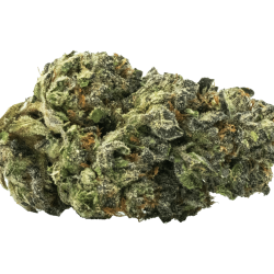Tropicana Cookies