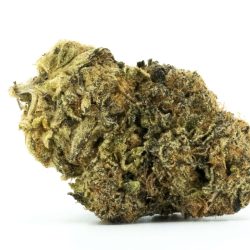 Purple Monkey Balls Strain