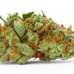Cherry Bomb Strain