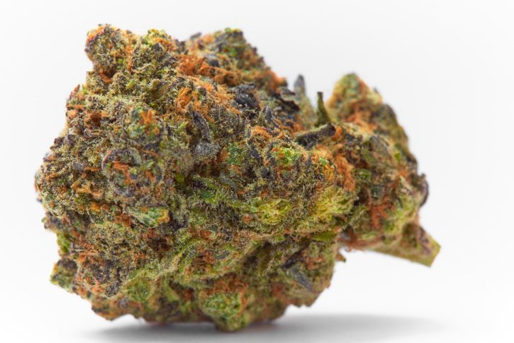 Fucking Incredible Strain | IE 420 Supply