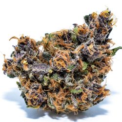 Forbidden Fruit | Indica Strain