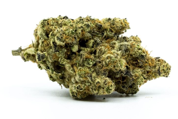 Buy Jungle Cake Strain
