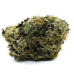 Trump OG Strain