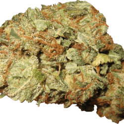Jet Fuel OG Strain
