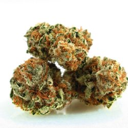 Grape Kush Strain