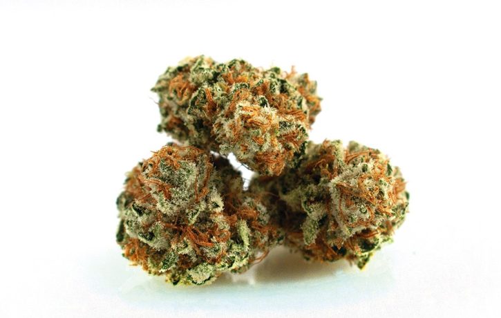 Grape Kush Strain