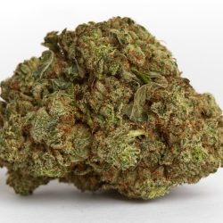 Pineapple Express Mid Shelf | Cannabis Strain
