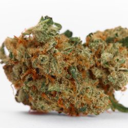 Bang Bang Strain