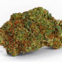 Tangie Sativa Strain