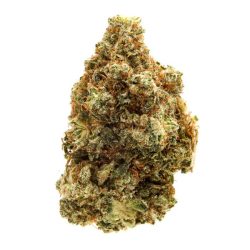 Venom Cake Strain by IE 420 Supply