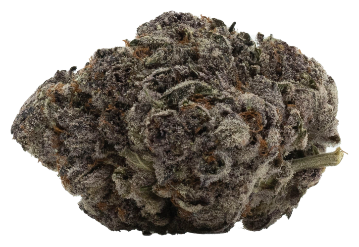 White Raspberry Strain