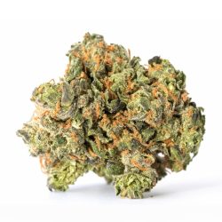 Buy White Runtz Strain Online Dispensary