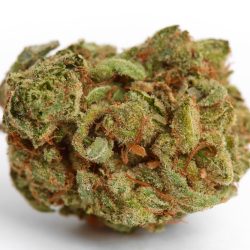 Blueberry Space Cake Strain