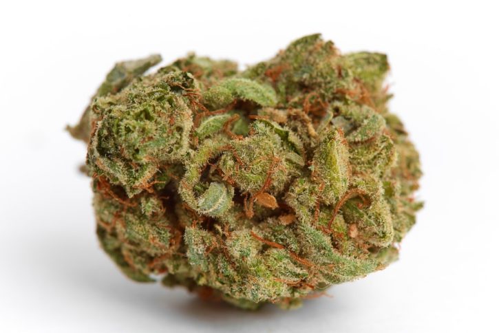 Blueberry Space Cake Strain