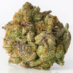 Cherrygasm Hyrbrid Cherry Pie Cross Strain