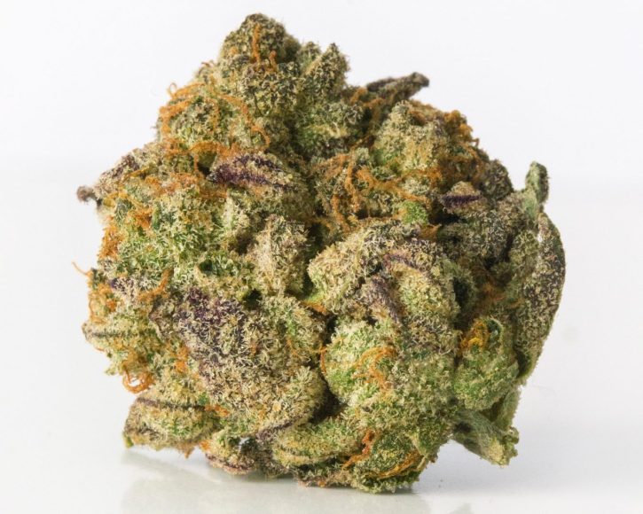 Cherrygasm Hyrbrid Cherry Pie Cross Strain