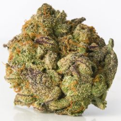 Northern Lights