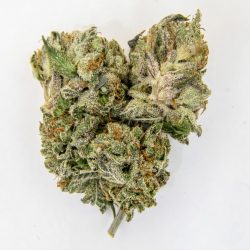 Kosher Kush Available Cannabis Strain at IE 420 Supply