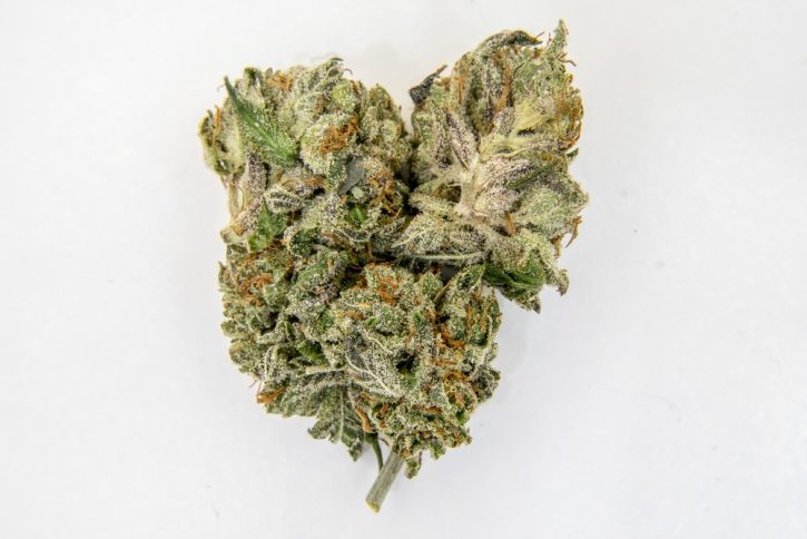 Kosher Kush Available Cannabis Strain at IE 420 Supply