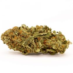Super Lemon Haze