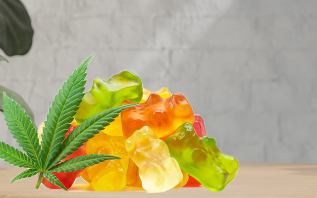 How to Make Mushroom Gummies in Your Home with Some Simple Steps