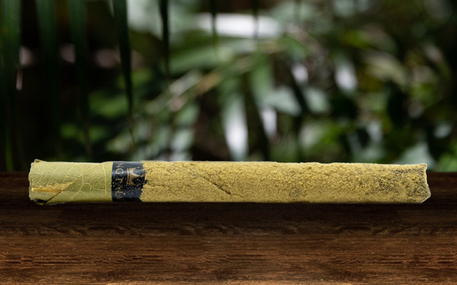 What is a Cannagar?