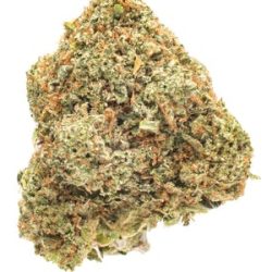 Buy Blue Cookies Weed Strain Cannabis
