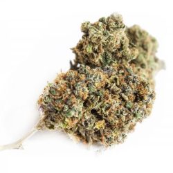 Sour Diesel