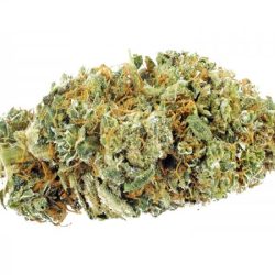 Gorilla Glue #4 Weed Strain
