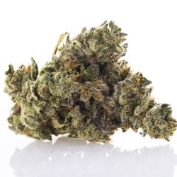 Animal Face Off Strain