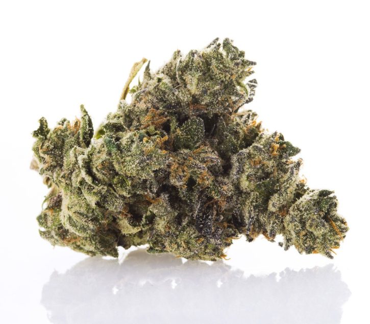 Animal Face Off Strain