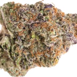 Purple Punch Strain