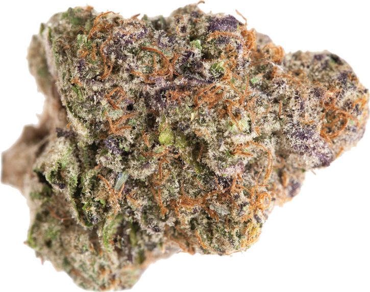 Purple Punch Strain