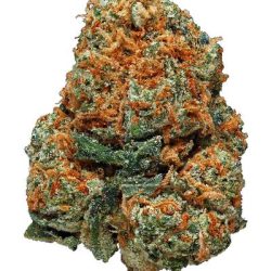 Abusive-OG-Strain