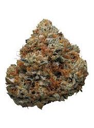 Godfather OG