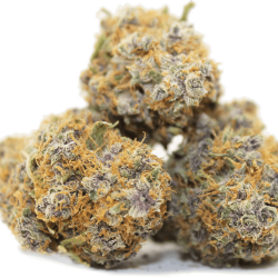 Lemon Cake Strain Medical Marijuana Dispensary