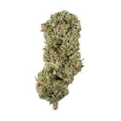 Zookies Strain Hybrid