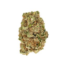 dirty girl strain