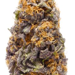 Buy Granddaddy Purple Strain GDP