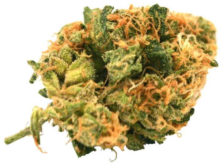 Buy XXX OG Weed Strain