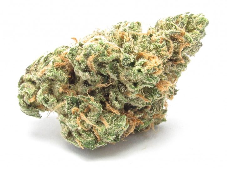 Papaya Strain