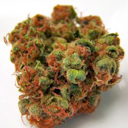 Buy Cherry Kush Strain