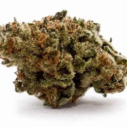 Grape Ape Strain