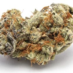 Buy Birthday Cake Kush | B-Day Cake Kush Strain Online